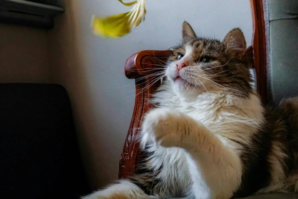 Vielfältige Auswahl